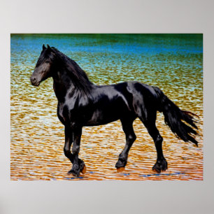 Friesian horse at the lake poster