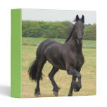 Friesian Horse Binder