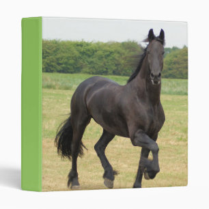 Friesian Horse Binder