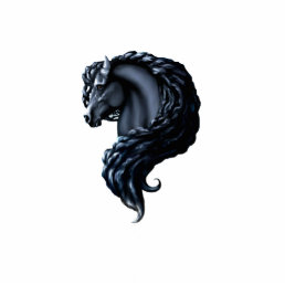 Friesian horse, black beuaty stallion cutout