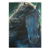 Friesian horse, black stallion (Front)