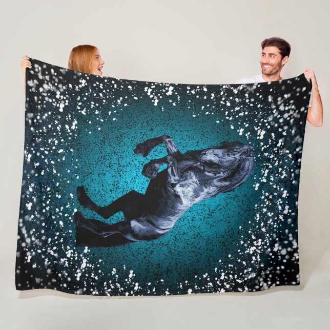 Friesian horse, black stallion, snow, blue fleece blanket (In Situ)