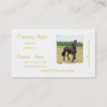 Friesian Horse Business Cards