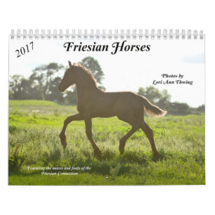 Friesian Horse Calendar