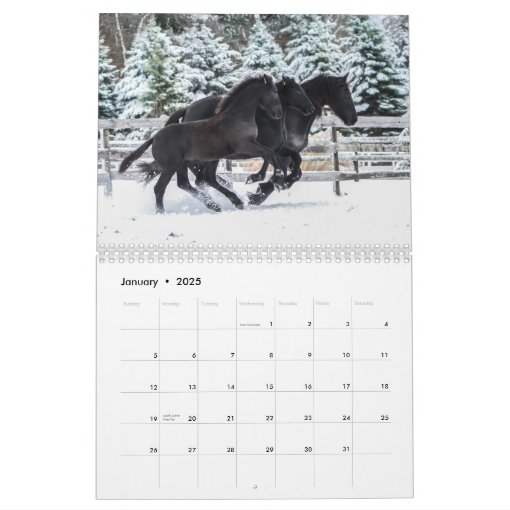 Friesian Horse Calendar by Moments By Lori Ann Zazzle