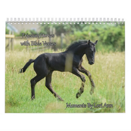 Friesian Horse Calendar with Bible Verses