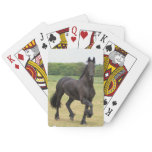 Friesian Horse Deck of Cards