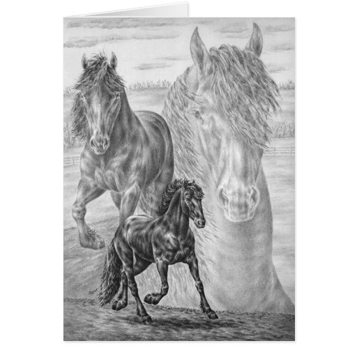 Friesian Horse Drawing by Kelli Swan Card | Zazzle