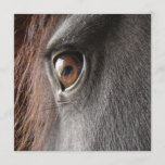 Friesian Horse Eye Invitation