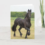 Friesian Horse Greeting Card