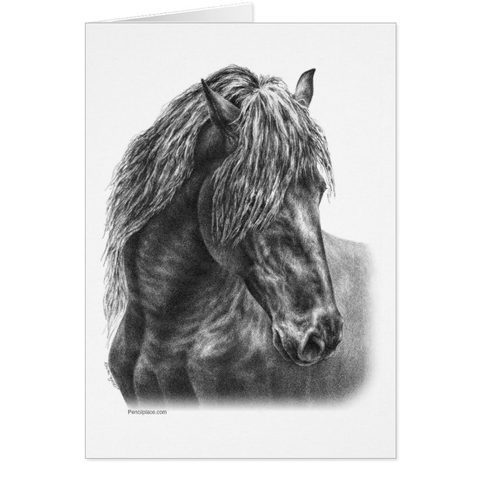 Friesian Horse Head w/Flowing Mane Portrait Card