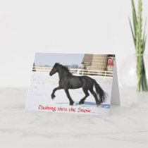 Friesian Horse Holiday Card
