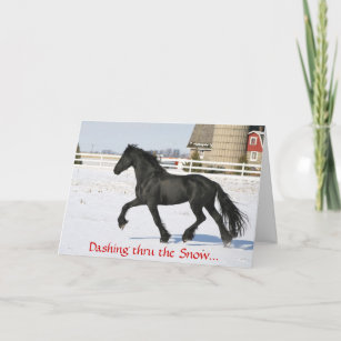 Beautiful Black Friesian Horse Women/'s Tee Image by Shutterstock