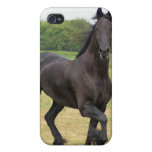 Friesian Horse iPhone 4 Case