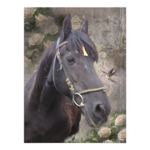 Friesian Horse Portrait - Poster