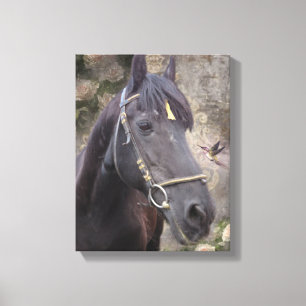 Friesian Horse Portrait - Wrapped Canvas Print