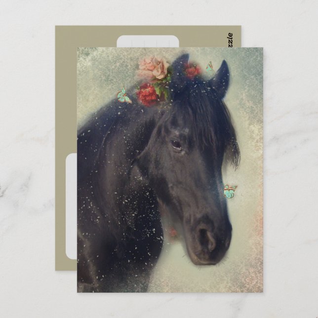 Friesian Horse - Postcard (Front/Back)