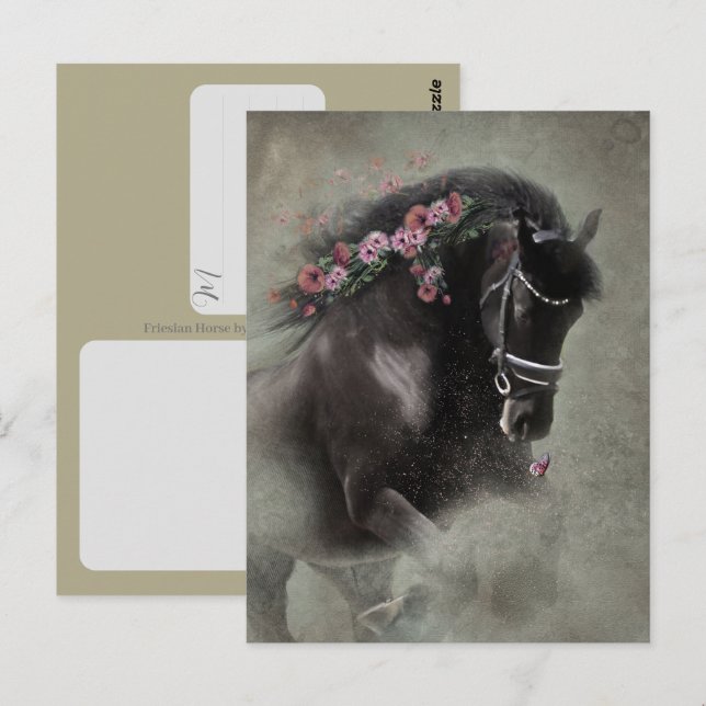 Friesian Horse - Postcard (Front/Back)
