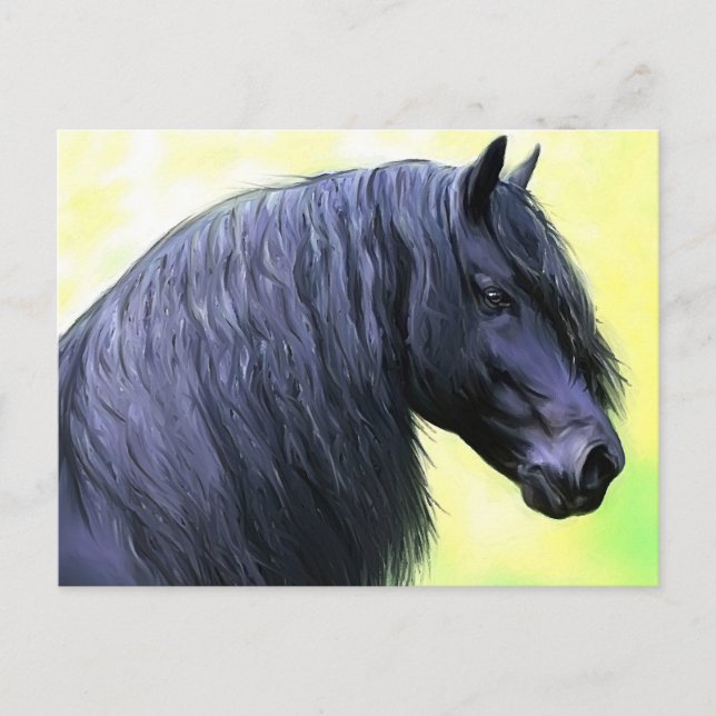 friesian horse postcard (Front)