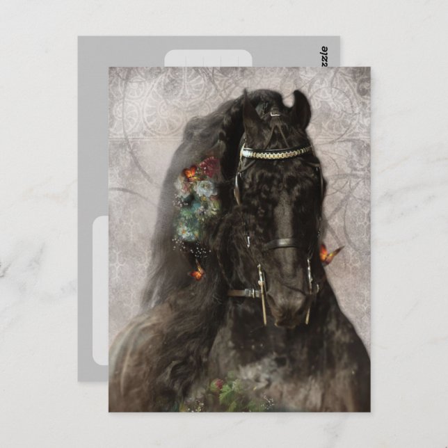 Friesian Horse - Postcard (Front/Back)