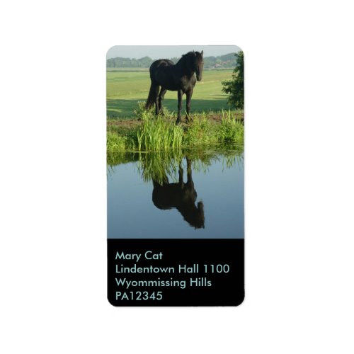 Friesian Horse Reflection in water Label