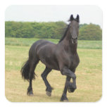 Friesian Horse Stickers