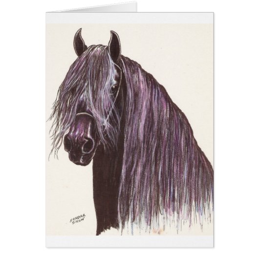 Friesian Horse Study Cards (Front)