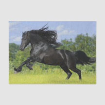Friesian horse