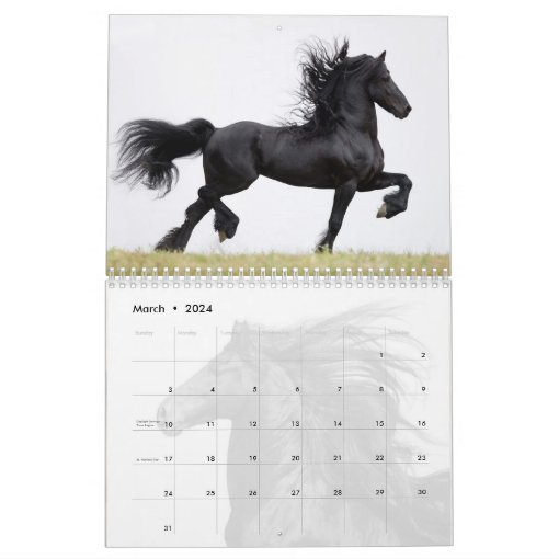 Friesian Horses Calendar | Zazzle