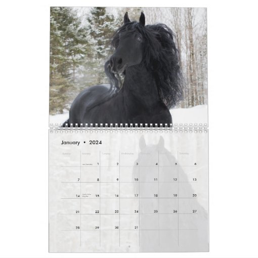 Friesian Horses Calendar Zazzle