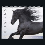 Friesian Horses Calendar<br><div class="desc">Friesians are a gorgeous,  noble breed of horses and this calendar featuring the photographs of Carol J Walker will take your breath away.</div>