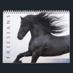 Friesian Horses Calendar<br><div class="desc">Friesians are a gorgeous,  noble breed of horses and this calendar featuring the photographs of Carol J Walker will take your breath away.</div>