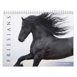 Friesian Horses Calendar