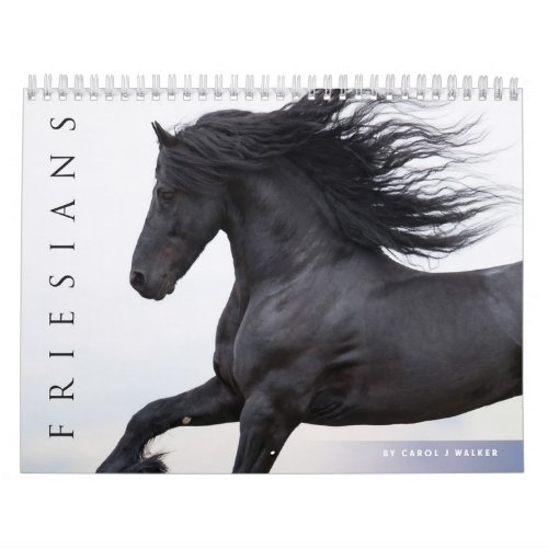 Friesian Horses Calendar