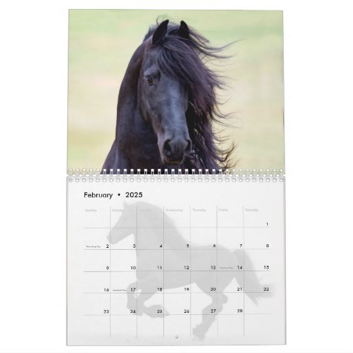 Friesian Horses Calendar Zazzle