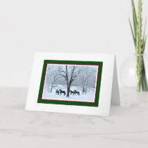 Friesian Horses in Snow Christmas Card