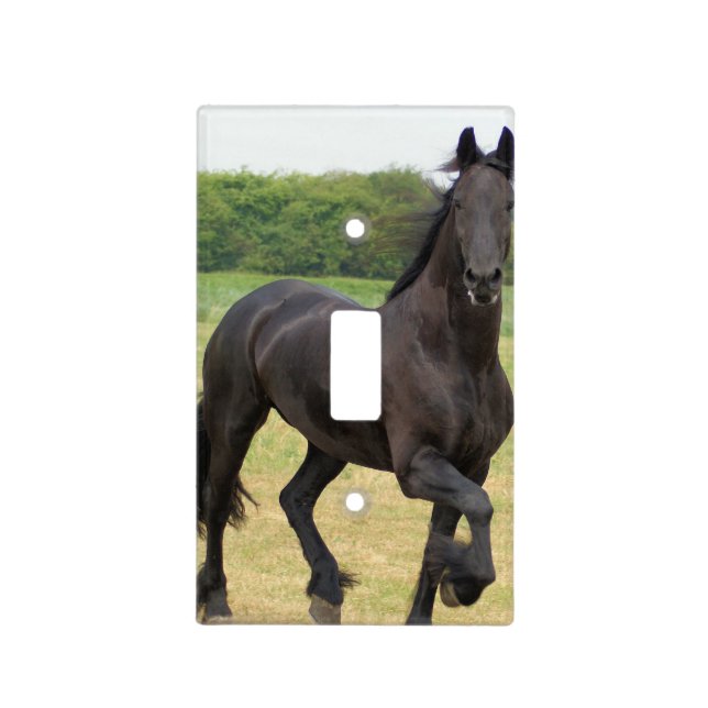 Friesian Horses Light Switch Cover (Front)