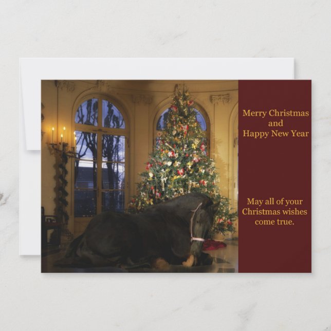 Friesian Mare Christmas Card (Front)