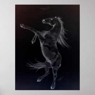Friesian Rearing Black & White Poster