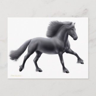 Friesian Running Free Postcard