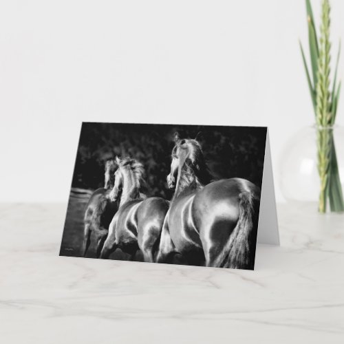 Friesian seas card