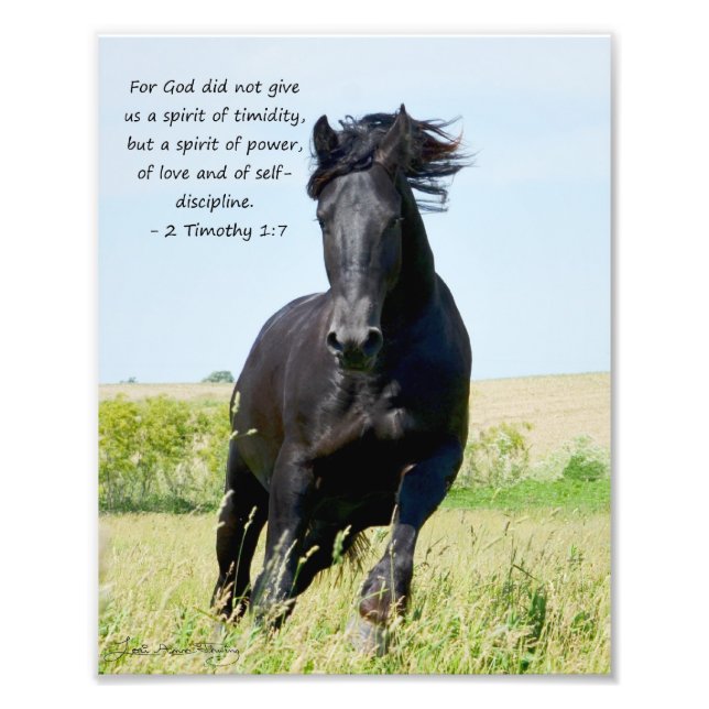Friesian Stallion 2 Timothy 1:7 Photo Print (Front)