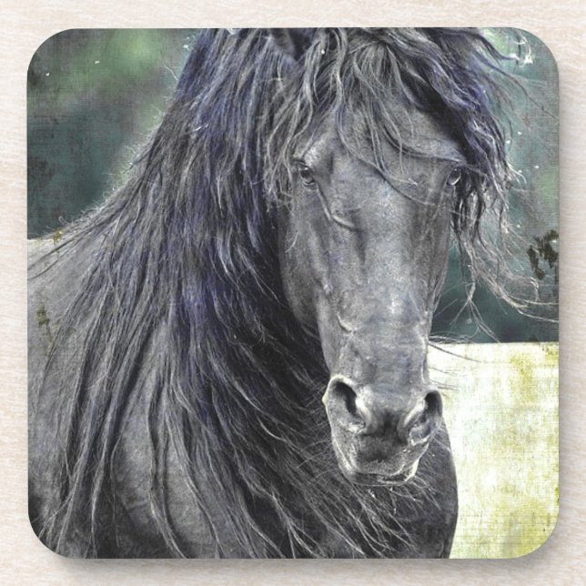 Friesian Stallion Beverage Coaster (Front)