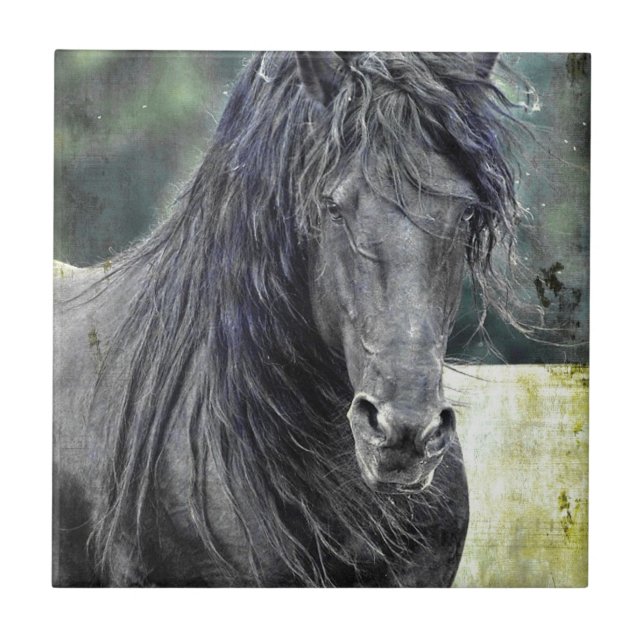 Friesian Stallion Ceramic Tile (Front)