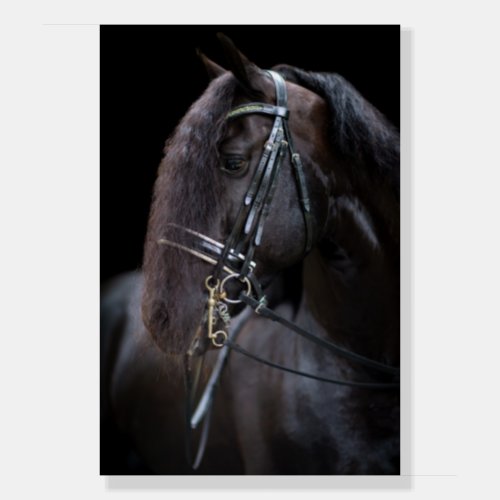 Friesian Stallion Fine Art Foam Board