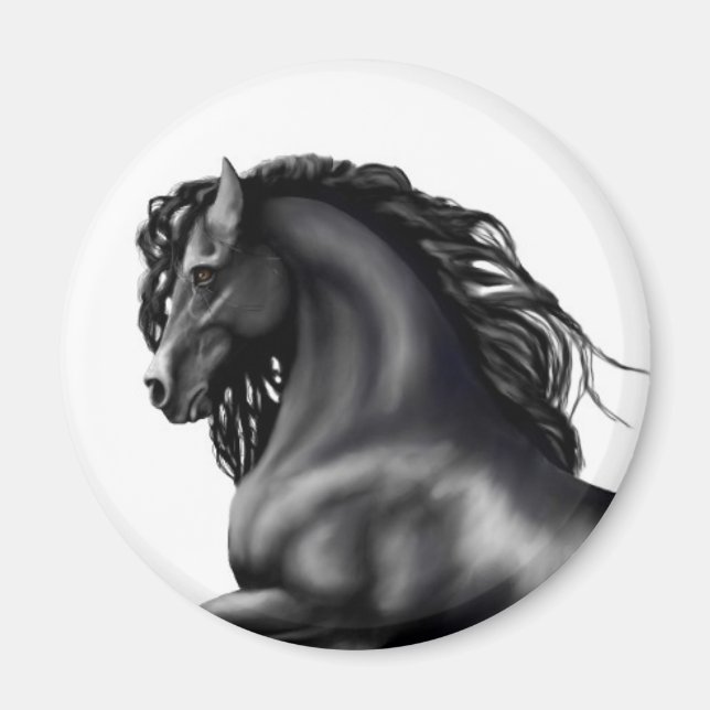 Friesian Stallion horse Magnet (Front)