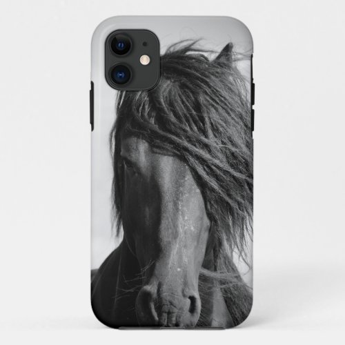 Friesian stallion in the wind iPhone 11 case