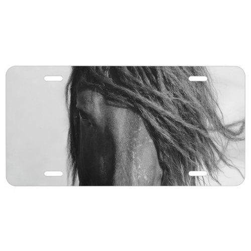 Friesian stallion in the wind license plate
