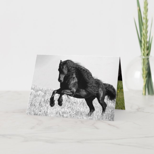 Friesian Stallion Leaps - Horse Greeting Card (Front)