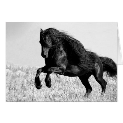 Friesian Stallion Leaps - Horse Greeting Card